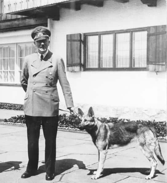  הכלבים של הנאצים שמרו שהיהודים לא יברחו מהמחנות ולשעשוע כשהכלבים קיבלו הוראה לתקוף יהודים. 80 שנה וחזרנו לנקודת אפס