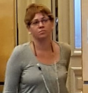 הילה טנא גלעד לסבית אלימה אם לקוסובו מגיע עצמאות גם לפלסטין מגיע