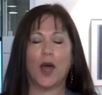 יפעת שטיין הפרקליטה שבלי עדי מדינה לא יכלה להביא הרשעות