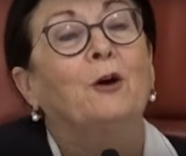 אסתר חיות משתוקקת לעמוד בראש הועדה לחקירת חרבות ברזל כדי לזרגג את ביבי