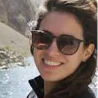 אלידור בליטנר כתבה חוות דעת בעד שידורי אל ג'זירה