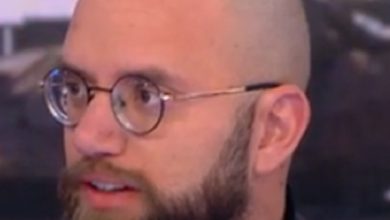 דוד פטר בגץ היא קן צרעות פמינאציות