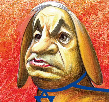 ביבי כלב