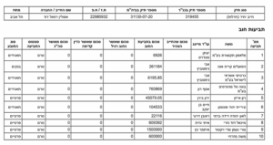 רשימת נושים פשיטת רגל רפאל דוד אסולין 4 מיליון שח חדלפ 31130-07-20