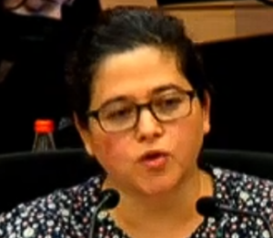 ארבל אסטרחן יעוץ מסריח של עמדות קפלן בכנסת