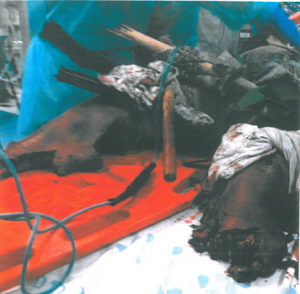 אורטל מרציאנו התמונה ששווה 2.5 מיליון שח