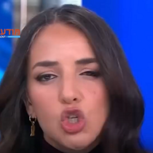 לוסי פוסי עופי לעזה