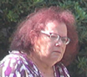 תמר רום אפוטרופות עוקצת חברה של רבקה מקייס